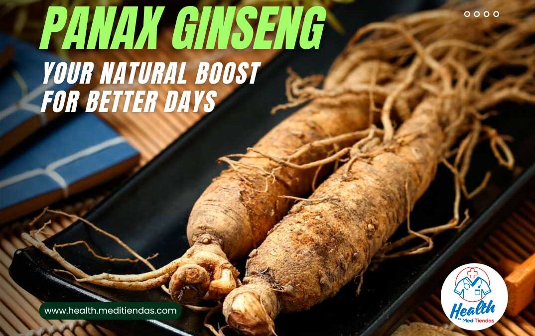 Panax Ginseng: A Gentle Boost Toward Better Days